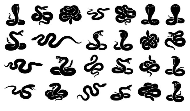 Snake Silhouette Vector Collection Cobra Viper and Rattlesnake Icons