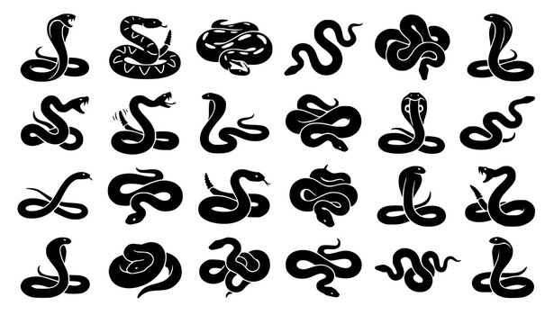 Black Snake Silhouette Vector Set for Mascot Logo and Tattoo Design