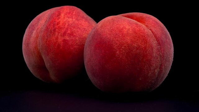 Two ripe fuzzy peaches resting against dark black background capturing