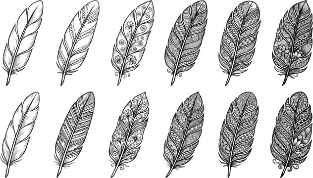 Decorative bird feather collection ranging from simple sketch style to highly detailed tribal mandala line art vectors