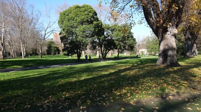 Winter scene in Fitzroy Gardens, Melbourne, Australia, with fallen golden leaves scattered across the lawn, mature trees with bare branches, and pedestrians walking along the footpath