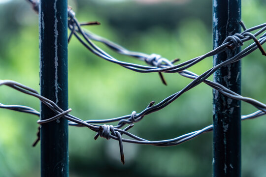 Barbed Wire Tied to Weathered Metal Fence Bars