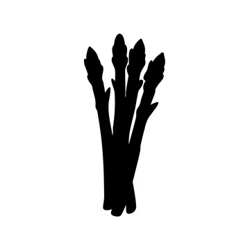 Black asparagus bundle illustration - A clean vector illustration of a bundle of black asparagus stalks, simple and minimalist for food or health-related designs.
