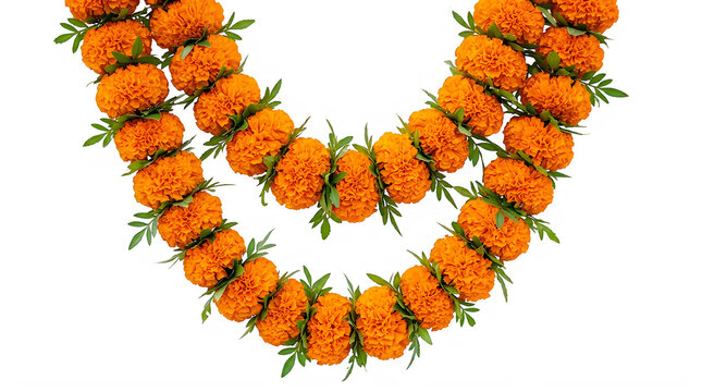 Beautiful orange marigold flower garland for traditional indian wedding decoration and celebration