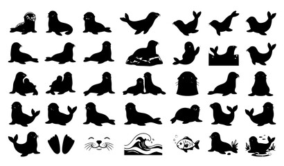 Cute Sea Lion Marine Wildlife Art Vector Collection Featuring Baby Pups Swimming Diving and Playful Ocean Animals © Shahinur