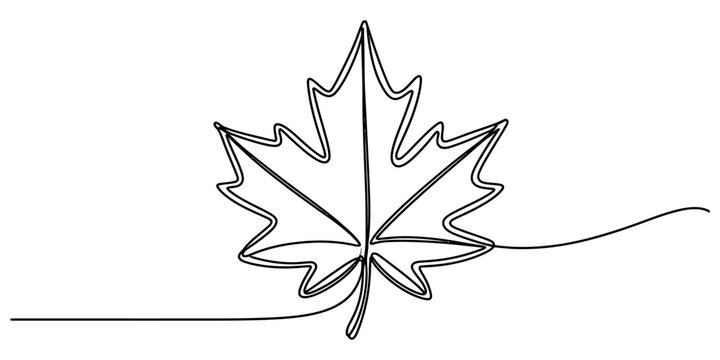 Continuous single line drawing of a maple leaf