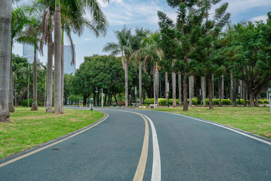Curved Paved Path Lined with Palm Trees in Urban Park