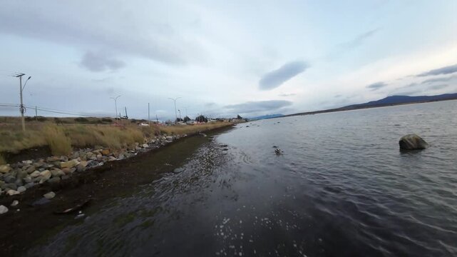 FPV aerial skimming along a mossy rocky shoreline with rippling water, birds in flight, vehicles and distant mountains at dusk near the entrance to Puerto Natales Chile