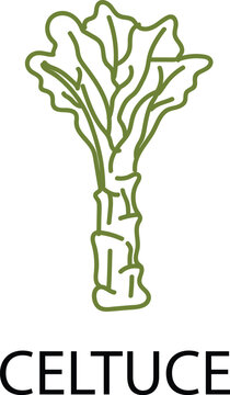 Leafy Lettuce Icon, Fresh Green Vegetable Outline, Healthy Salad Vector Illustration