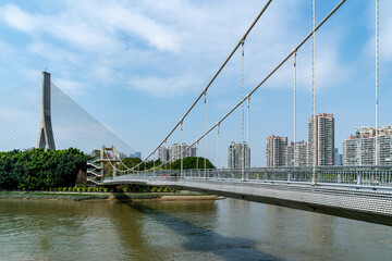 Obraz premium Suspension Bridge and Cable-stayed Bridge Over Urban River