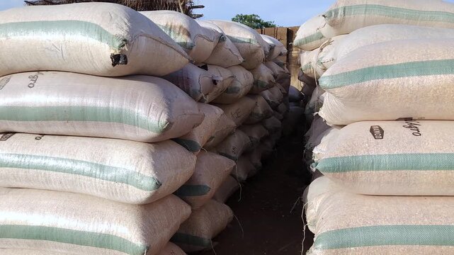 Food supply chain and grain storage systems ensuring efficient handling preservation distribution and availability of agricultural products.