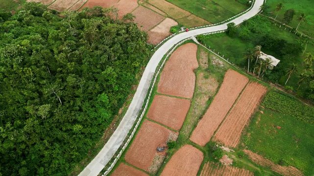 Scenic aerial bird's-eye view of a winding rural road crossing farmlands and lush forested hills in Catanduanes, Bicol, Philippines