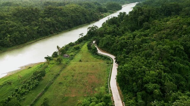 Picturesque aerial dolly of winding roadside, grassy clearing, and dense tropical forest along Pajo River, Catanduanes, Philippines