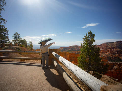 Road trip Zion National Park