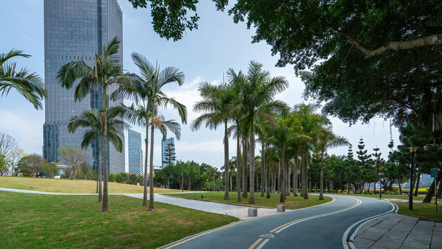 Urban Park with Palm Trees and Modern Buildings