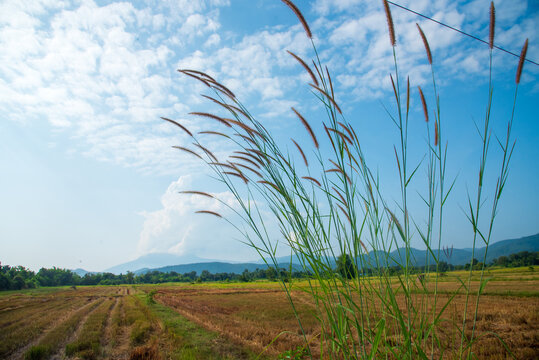 Landscape mountain green field meadow white cloud blue sky sunrise. Amazing landscape fog mountain clouds scenery. Beautiful Mountain landscape foggy windy range green asian farm