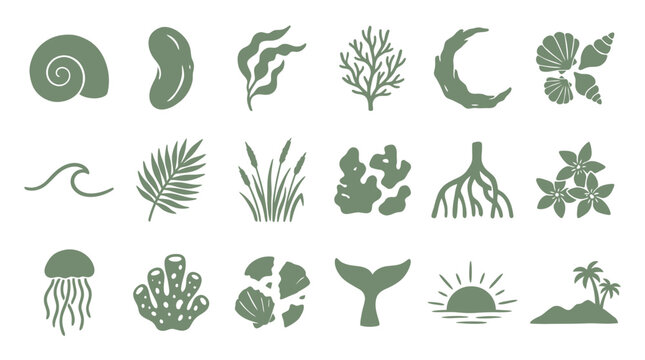 Summer nature element vector set featuring ocean shells, tropical plants, marine life, and coastal scenery for design projects
