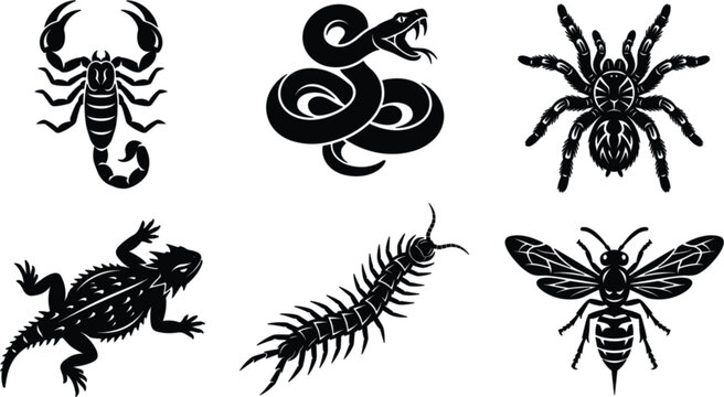 Collection of dangerous black vector silhouettes fierce snake scorpion tarantula lizard and centipede logos isolated on white background for powerful branding design elements