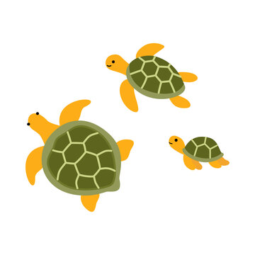 Cute Sea Turtle Family Illustration Collection Isolated on Transparent Background for Ocean Marine Wildlife and Summer Design