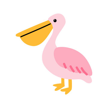 Cute Pelican Flat Illustration Isolated on Transparent Background for Tropical Bird Wildlife Nature and Coastal Design
