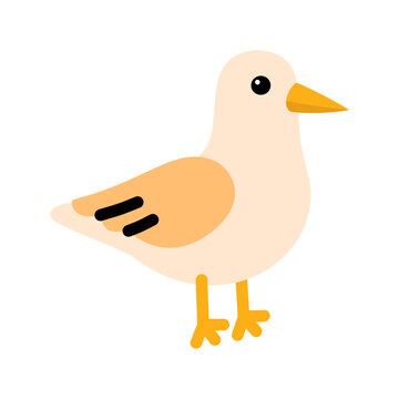 Cute Seagull Flat Illustration Isolated on Transparent Background for Coastal Bird Wildlife Beach Ocean and Nature Design