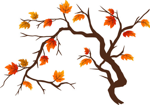 autumn maple tree branch cartoonn element