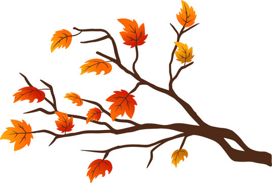 Single Autumn Maple Leaf Branch Vector Element