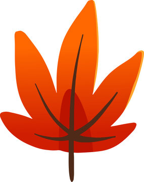 Autumn Maple Leaf Vector Graphic Fall Season