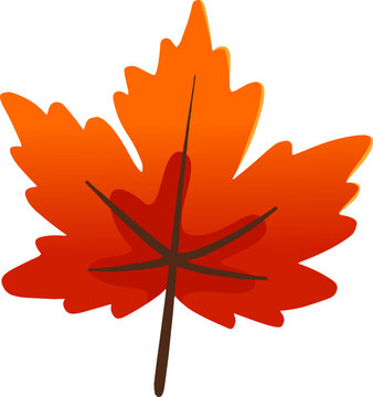maple leaf silhouette vector illustration