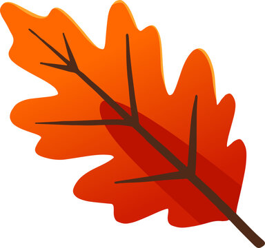 vector illustration fall season leaf