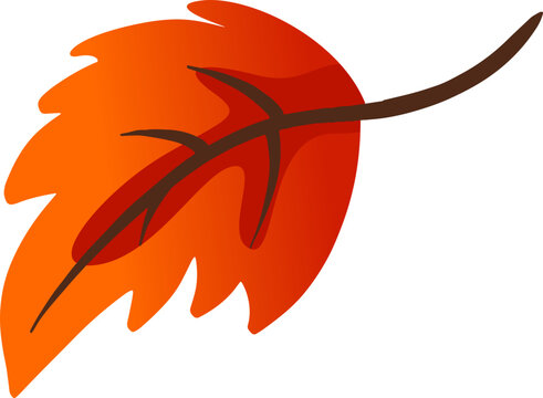 Single Autumn Oak Leaf Vector Element Isolated