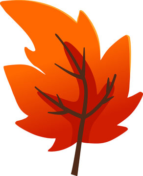 Autumn Maple Leaf Illustration for Botanical Design