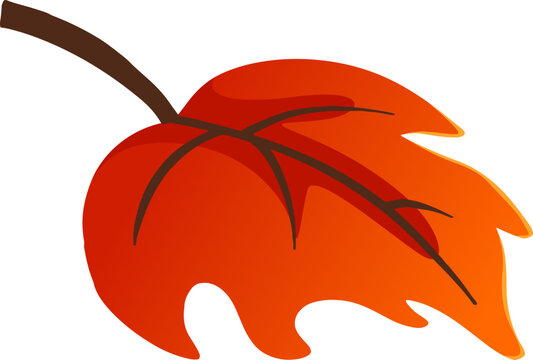 Floating Autumn Maple Leaves Element Resource