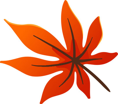 Floating Autumn Maple Leaves Set Vector Resource