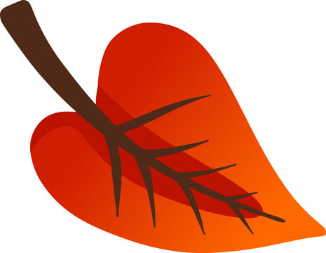 vector illustration of a red leaf