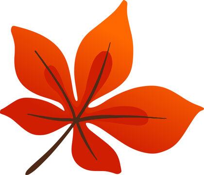 Single Autumn Maple Leaf Vector Element Isolated