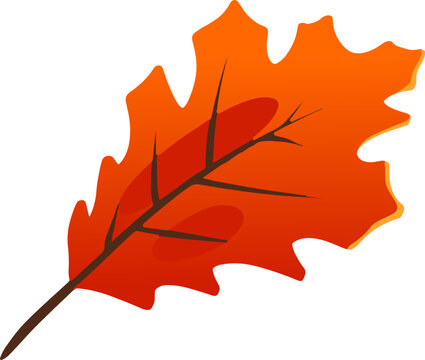 Aesthetic Golden Maple Leaf Vector for Cozy Fall Aesthetic