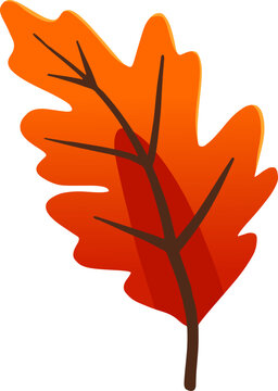 Autumn Maple Leaf Vector Fall Element