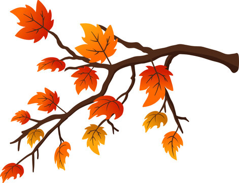 autumn Fall maple tree branch Illustration