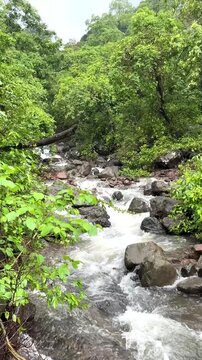 Seasonal water stream flowing through the lush Sahyadri mountain range during the monsoon in Maharashtra, India.
