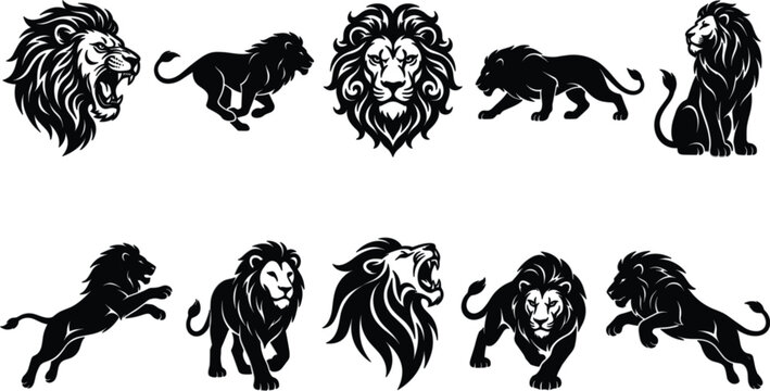 Set of dynamic black lion vector silhouettes roaring heads and majestic running poses isolated on white background for powerful branding mascot design
