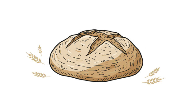 Hand-drawn sketch of a round artisanal sourdough bread loaf surrounded by dry wheat stalks on a white background.