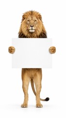 Obraz premium lion