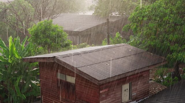 Heavy Rain Falling Over Old Wooden House Surrounded by Shady Green Trees