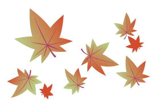 2026_7 leaflower_summer-autumn