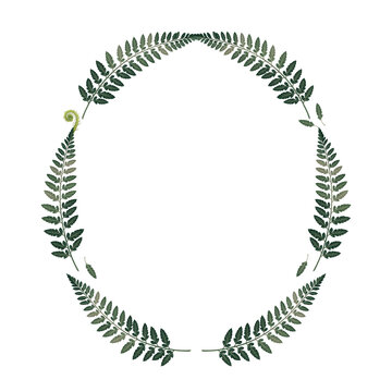 Oval wreath border made of green fern leaves isolated on white background with botanical decoration isolated background template invitation greeting arrangement ornamental composition