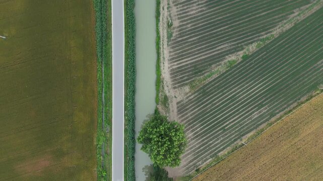 Agricultural fields border an irrigation canal and rural road across cultivated farmland, revealing cereal crops, planted row crops and harvested fields from above, top down ascent.