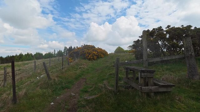 Lush rural footpath winds past fenced fields, wild gorse bushes, and ancient trees under a vivid sky in the Scottish Borders, filmed in soft daylight with a steady tracking shot.