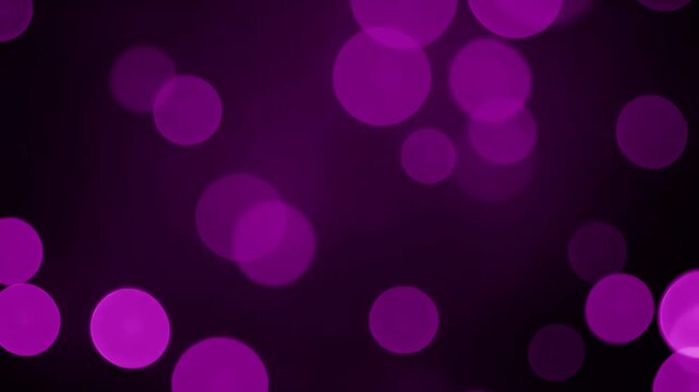 Falling Purple Bokeh Background on Dark 4k Video