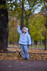 Obraz premium Child reaches for leaves in a park during autumn with yellow and orange foliage surrounding her
